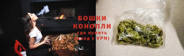 гидропоника Каменка