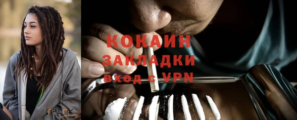 гидропоника Каменка
